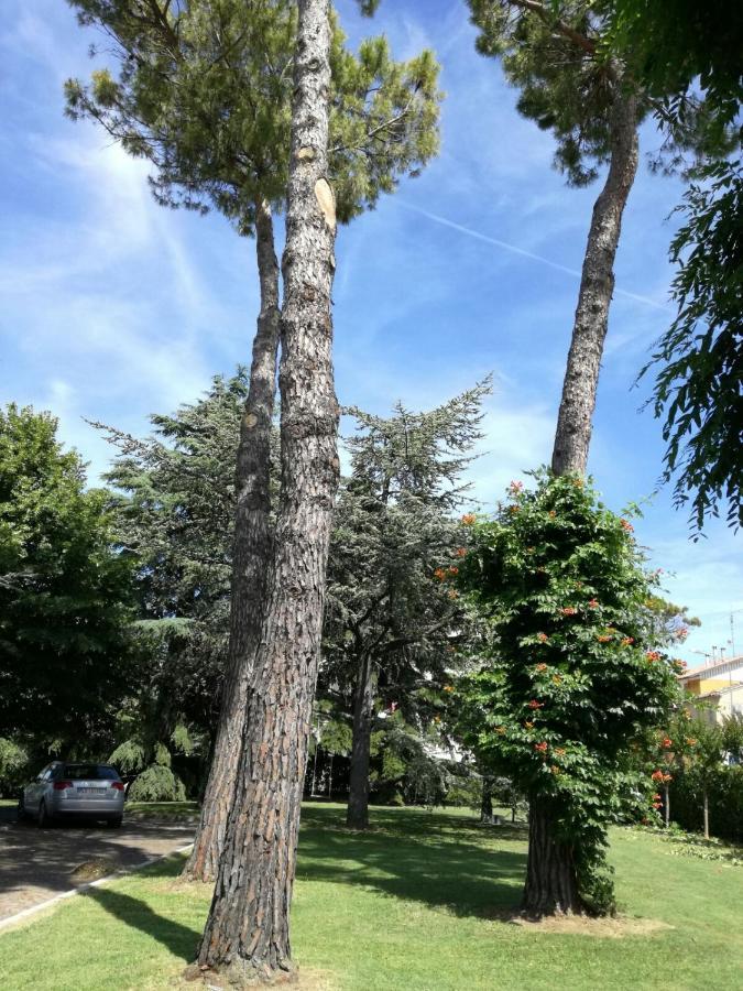 B&B Villa Lupidi Corridonia Екстериор снимка