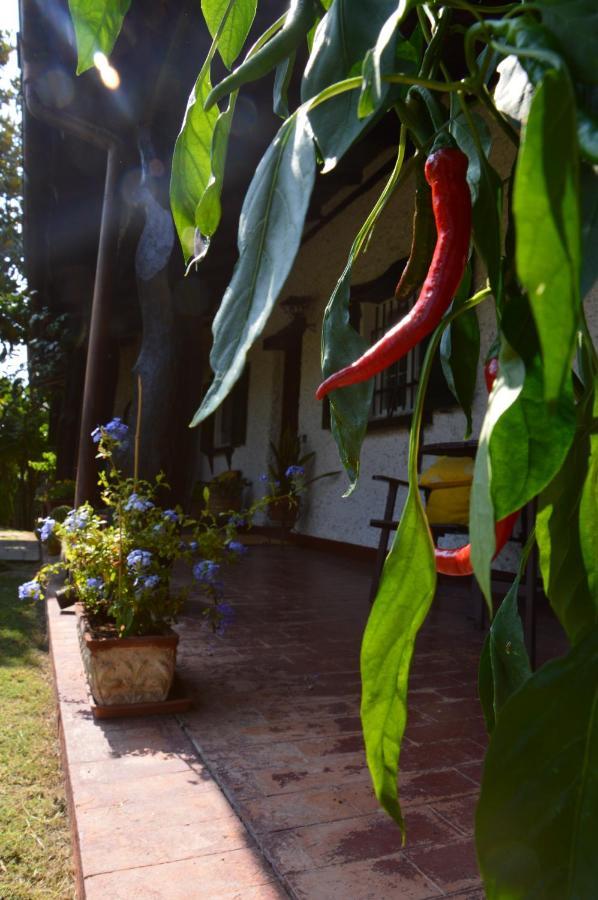 B&B Villa Lupidi Corridonia Екстериор снимка