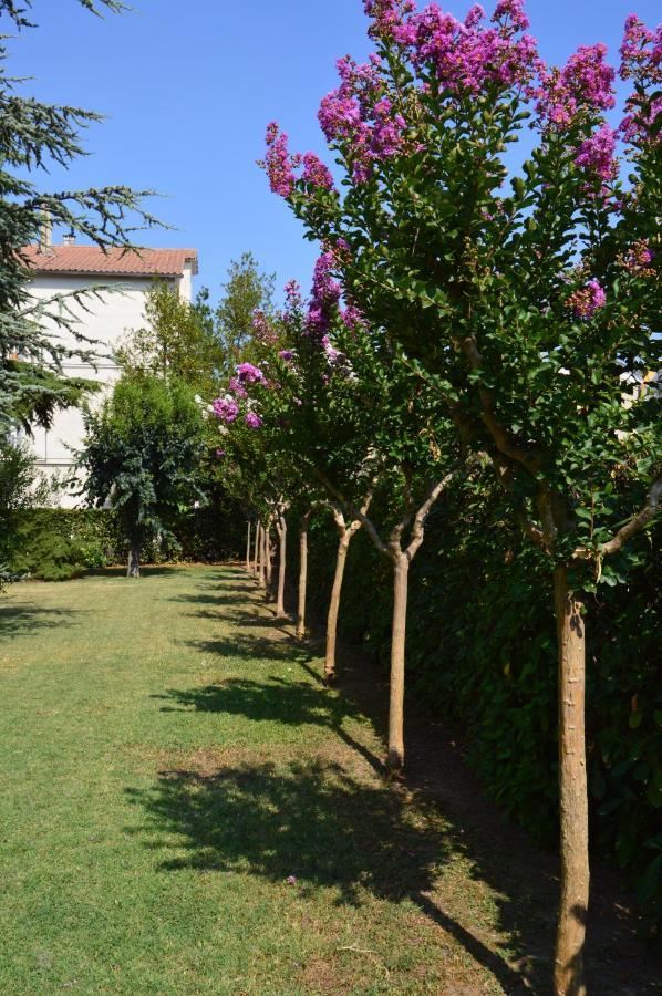 B&B Villa Lupidi Corridonia Екстериор снимка