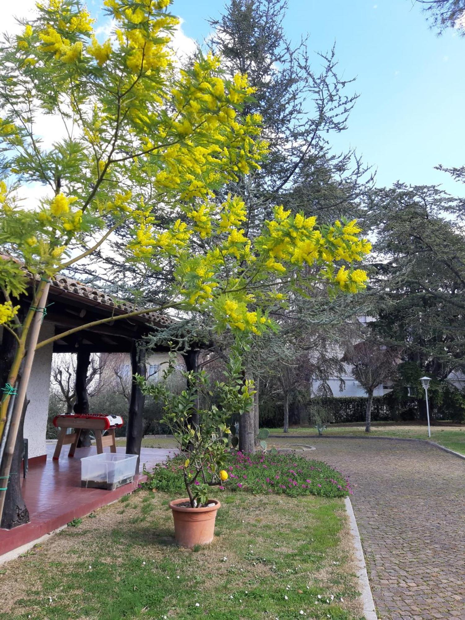 B&B Villa Lupidi Corridonia Екстериор снимка